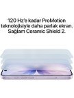 Apple iPhone 17 256 GB Sis Mavisi